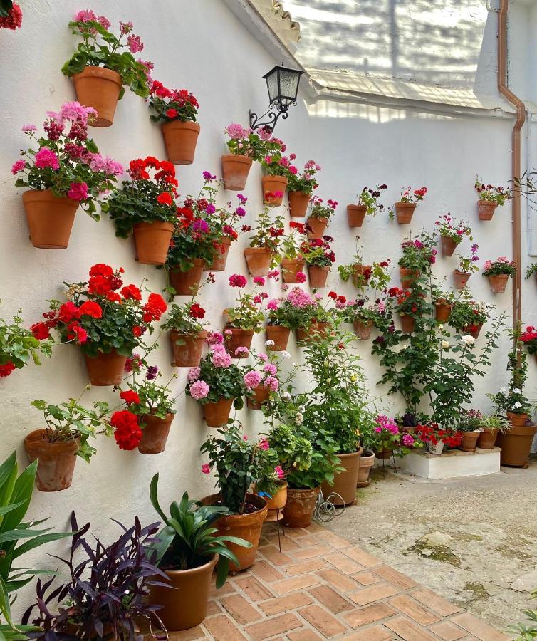코르도바 Amal Casa De Huespedes 아파트 외부 사진